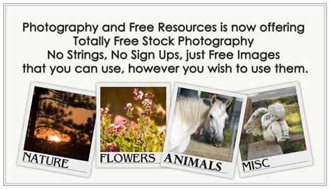 totally  stock  ibjennyjenny photography   resources