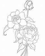 Coloring Peony Pages Hydrangea Peonies Drawing Flower Outline Flowers Line Justpaintitblog Getdrawings Clusters Drawings Patterns Kids Printable sketch template