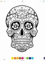 Skull Skulls Adults sketch template