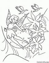 Colorare Disegni Fata Flores Hadas Fada Malvorlagen Colorkid Tinker Bell Dzwoneczek Campanilla Campanellino Blumen Kolorowanki Kwiaty Wróżka Pt sketch template