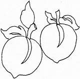 Coloring Sheet Fruits sketch template