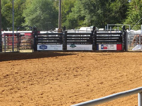 pittsburg tx arena bucking chutes httpswwwpriefertcomproductsroping  rodeo equipment