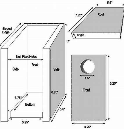 image result  blue jay birdhouse dimensions bird house plans bluebird house bird house