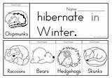 Hibernation Hibernate sketch template
