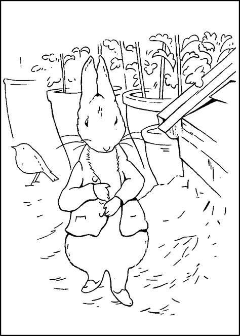 peter rabbit coloring pages coloring pages