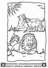 Coloring Pages Lions Lion Zoo Kids Animal Comments Sheets sketch template