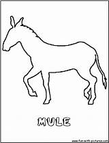 Mule Coloring Pages Outline Color Printable Getcolorings Fun sketch template