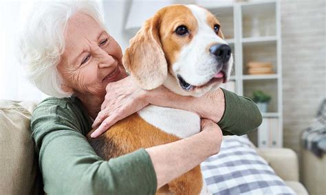 mascotas terapéuticas para aliviar la soledad de los ancianos que viven