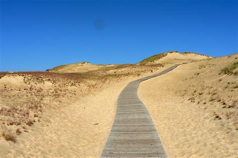 fileimage lithuania juodkrante sand dunesjpg wikipedia