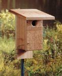 birdhouse plans updated   guide patterns