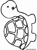 Tortue Coloriage Imprimer Template Blank sketch template