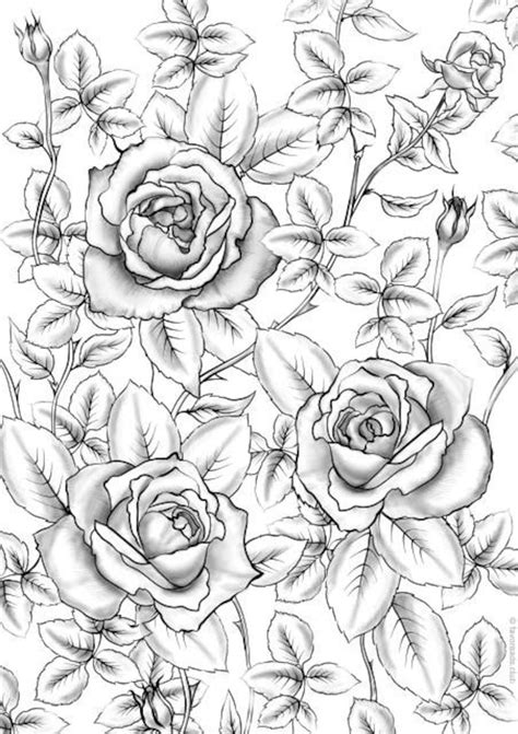 roses printable adult coloring page  favoreads coloring etsy