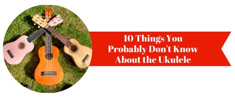 10 things you probably don t know about the ukulele
