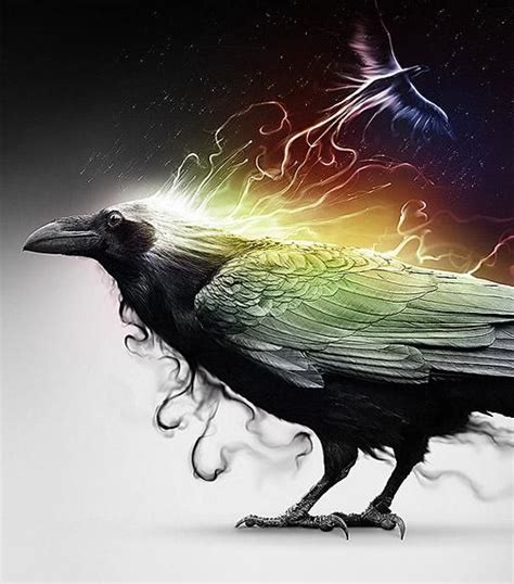 illustratd design  visual art inspiration crows ravens raven spirit animal