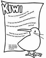 Kiwi Coloring Pages Crayola Bird Animal Color Birds Kids Fly Crafts Animals Printable Print Zealand Facts Cannot Preschool Tiny Thinking sketch template