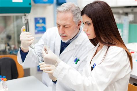 couple  scientist researching   laboratory stock photo image