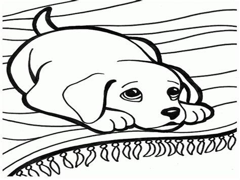 dog cartoon  coloring pages