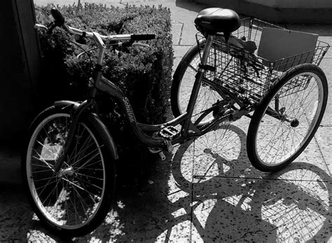 schwinn meridian tricycle