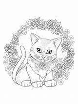 Coloring Pages Kitten Adults Zentangle Adult Printable Bright Teens Colors Favorite Choose Color sketch template