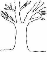 Arbre Drzewa Coloring Roots Albero Kontury Automne Kolorowanka Arbres Saison Drzewo Druku Trunk Jesienne Colorare Coloriages Darbre Liście Bare Disegni sketch template