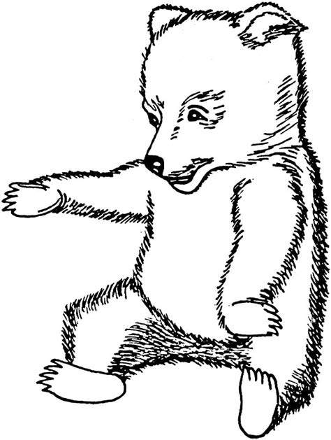 brown bear cub coloring page  printable coloring pages  kids