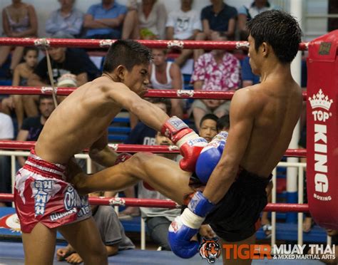 fighting thai tiger muay thai and mma training camp guest fights july