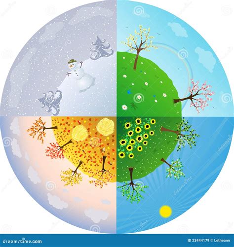 quattro stagioni illustrazione vettoriale immagine  grafico