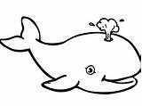 Whale Coloring Pages Kids Outline Killer Preschool Sperm Drawing Printable Jonah Clipart Animals Color Fascinating Gorgeous Shark Getcolorings Print Kindergarten sketch template