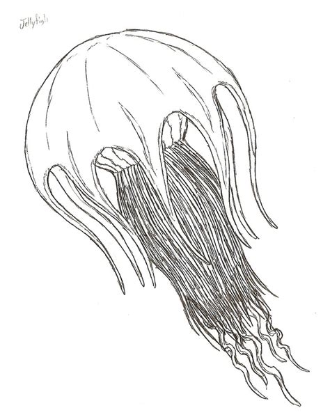 jellyfish  kitwhitham  deviantart