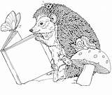 Coloring Hedgehog Pages Coloringpages1001 Hedgehogs Colouring sketch template