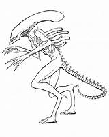 Extraterrestre Coloriage Aliens Korner Colorat Colorir Monstre Malvorlagen Malvorlage Dmg sketch template