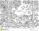 Forest Coloring Pages Deciduous Stock Autumn Royalty Fall sketch template
