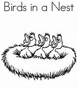 Coloring Pages Bird Nest Designs sketch template