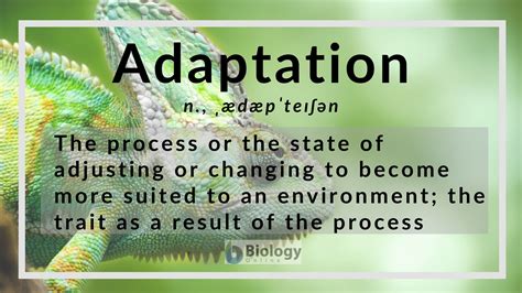 adaptation definition  examples biology  dictionary