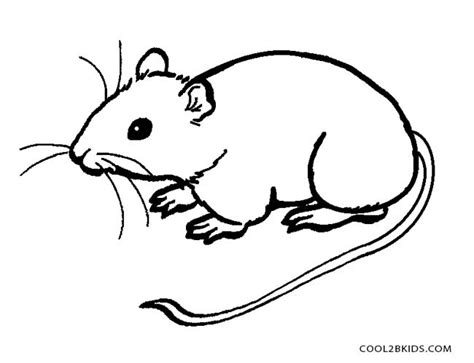 printable mouse coloring pages  kids