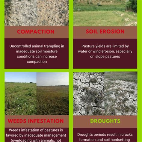 types  soil degradation floss papers