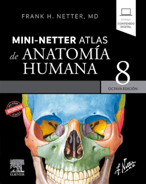 mini netter atlas de anatomia humana  ed