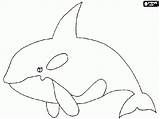 Whale Coloring Pages Preschool Orca Preschoolcrafts Animal Animals Orcas Printable Kindergarten sketch template