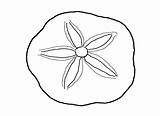 Coloring Pages Sand Dollar Seashell Drawing Clipart Shell Outline Clip Kids Shells Beach Draw Sea Seashells Cliparts Print Printable Color sketch template