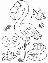 Flamingo Flamant Flamingos sketch template