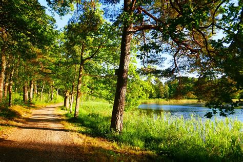 schweden markaryd byasjoensee foto bild wald schweden natur