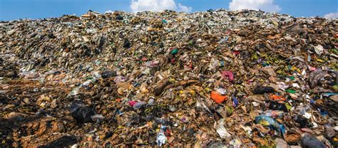indias waste management problem organica biotech