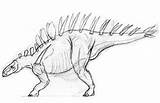 Kentrosaurus Template sketch template