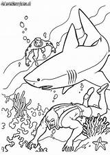 Aquaman Coloring Pages Lego Kids Colouring Comments Library Getdrawings Fun sketch template