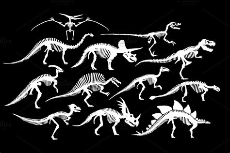 dinosaurs skeletons patterns  set dinosaur skeleton dinosaur