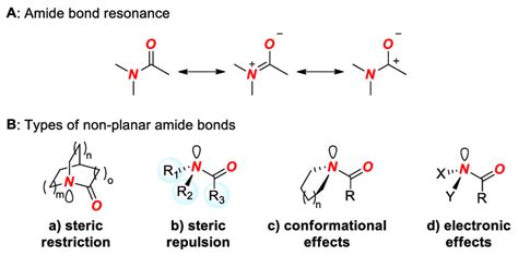 amide bond resonance  types  distorted amide bonds  scientific diagram