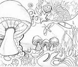 Coloring Pages Mushroom Psychedelic Printable Trippy Wonderland Alice Adults Adult Drawing Mushrooms Toadstool Colouring Books Kodak Getdrawings Color Getcolorings Drawings sketch template