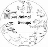 Animal Groups Animals Coloring Pages Printable Science Books Book Enchantedlearning Classification Worksheets Print Teaching Cover Activities Kids Projects Early Reader sketch template