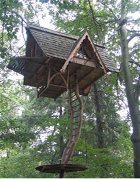 love  ladder   tree house treehouses pinterest