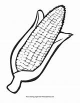 Corn Ear Coloring Kwanzaa Primarygames Printable sketch template